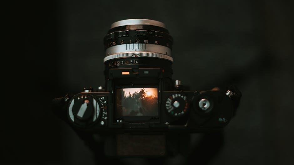 nikon z6ii manual