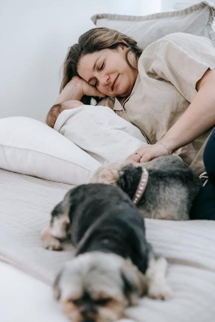 love to dream swaddle temperature guide