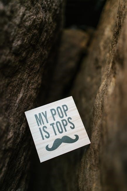 where can i enter my ebt card manually